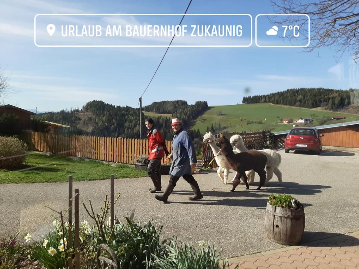 Вилла Zukaunighof Diex Экстерьер фото
